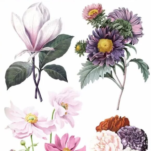 3 for $10 - Violette Stickers - Hepburn‎ Floral - 1 Sticker Sheet for Stationary - Picture 2 of 4